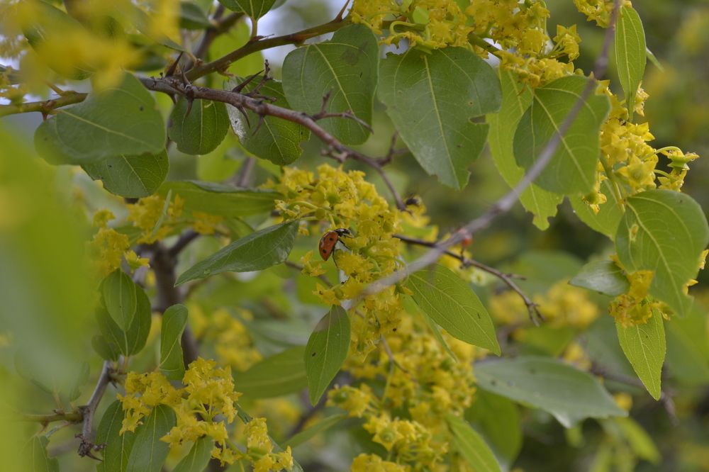 Photograph by Aleksey