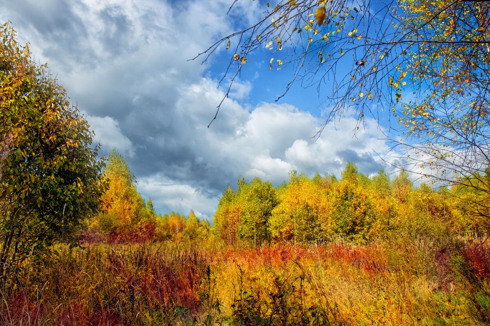 Photograph by Татьяна Семенова