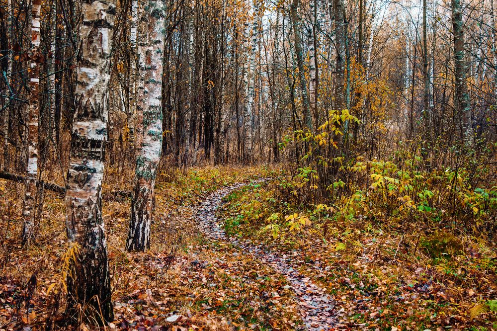 Photograph by Татьяна Семенова