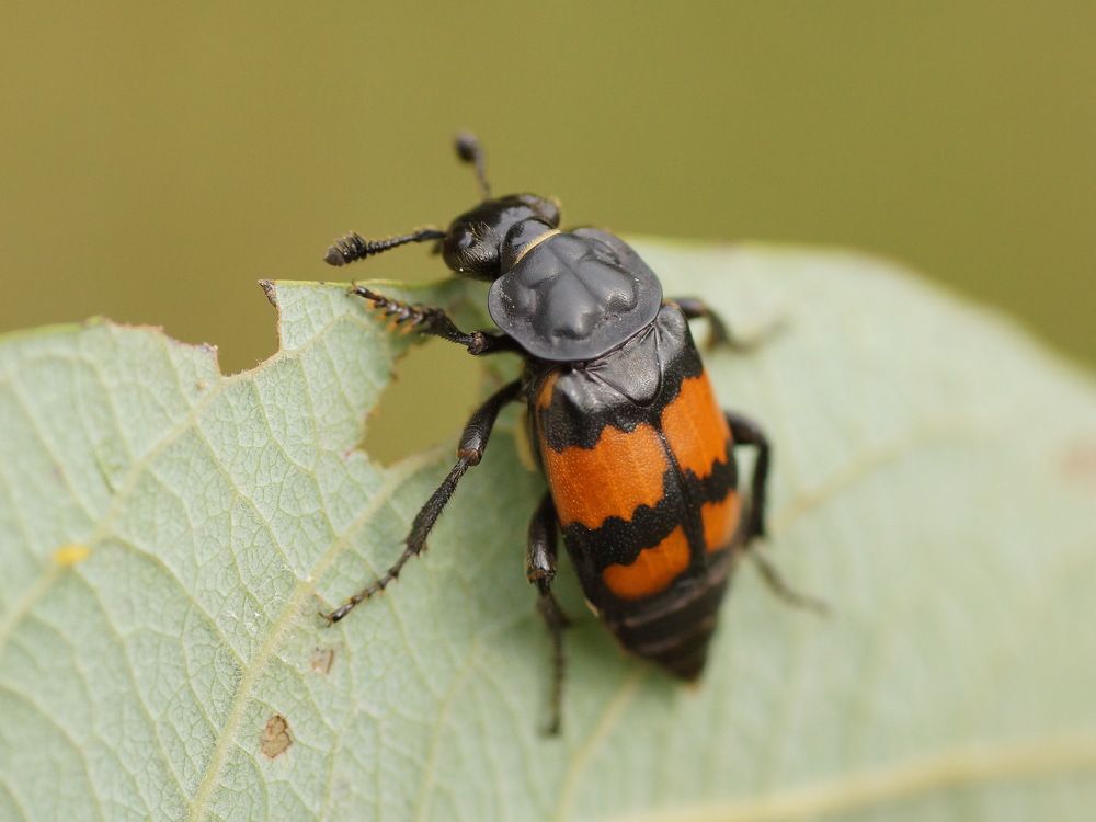 Photograph by Алексей Андреев