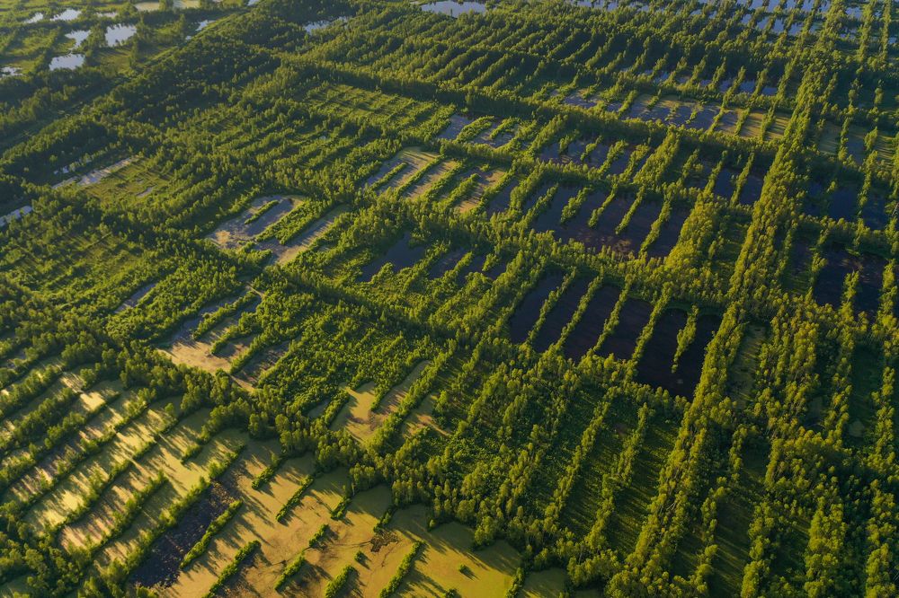 Photograph by Gureva Elena