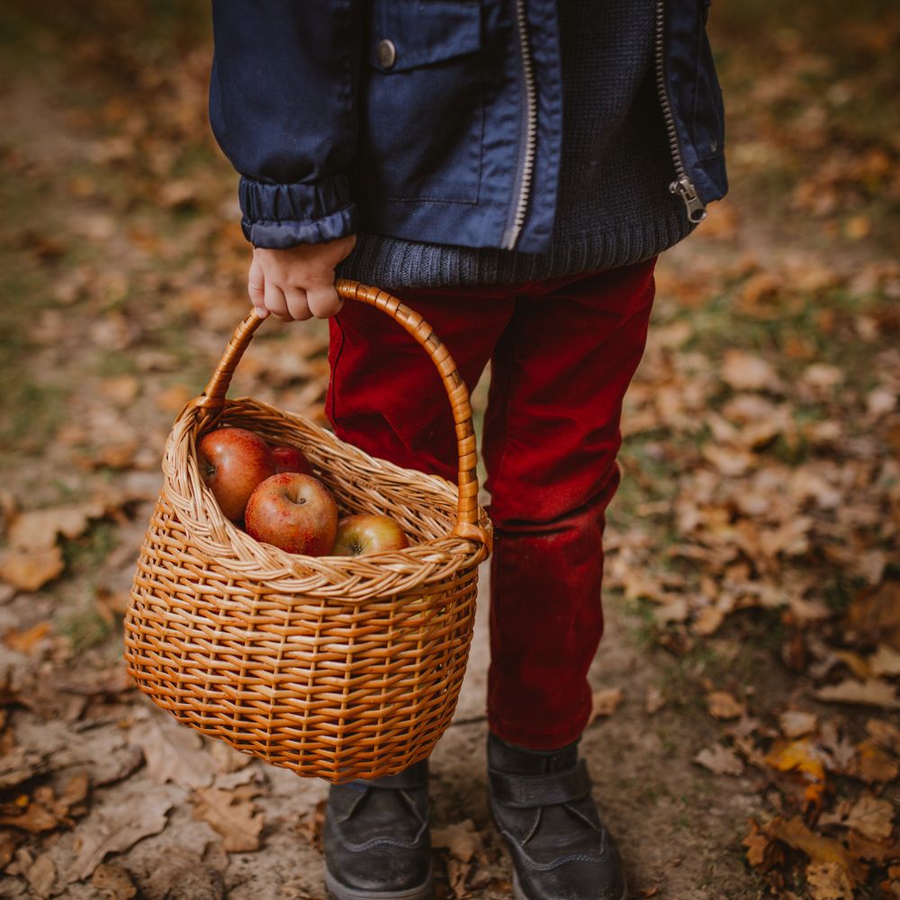 Photograph by Галина Кочеткова