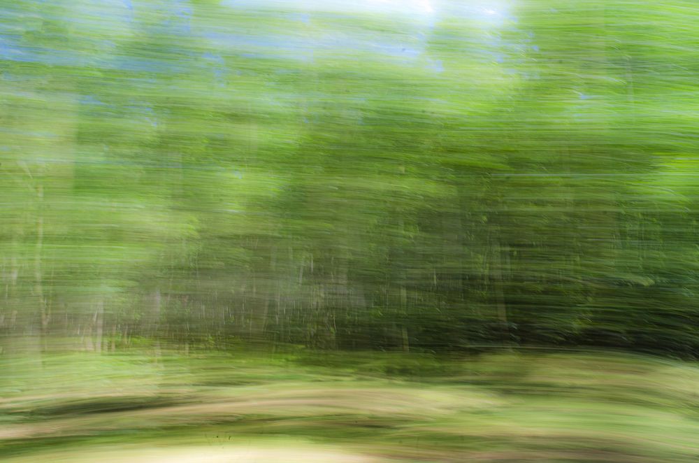 Photograph by Ayman Nakib