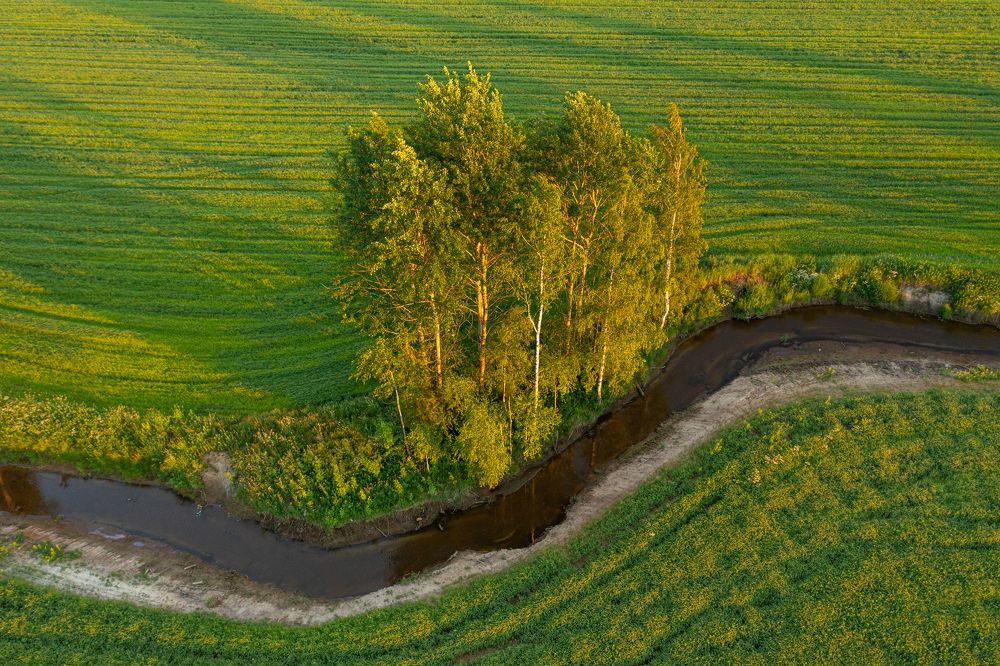 Photograph by Gureva Elena