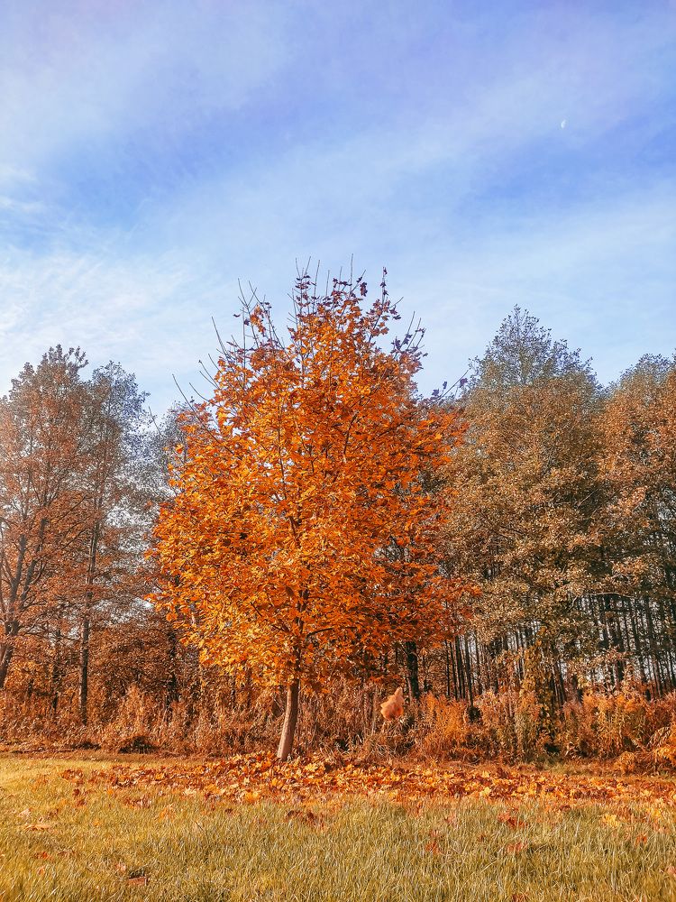 Photograph by Наталья Вололовцева