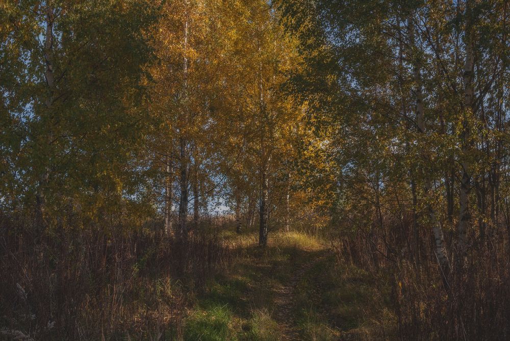 Photograph by Cергей Черныш