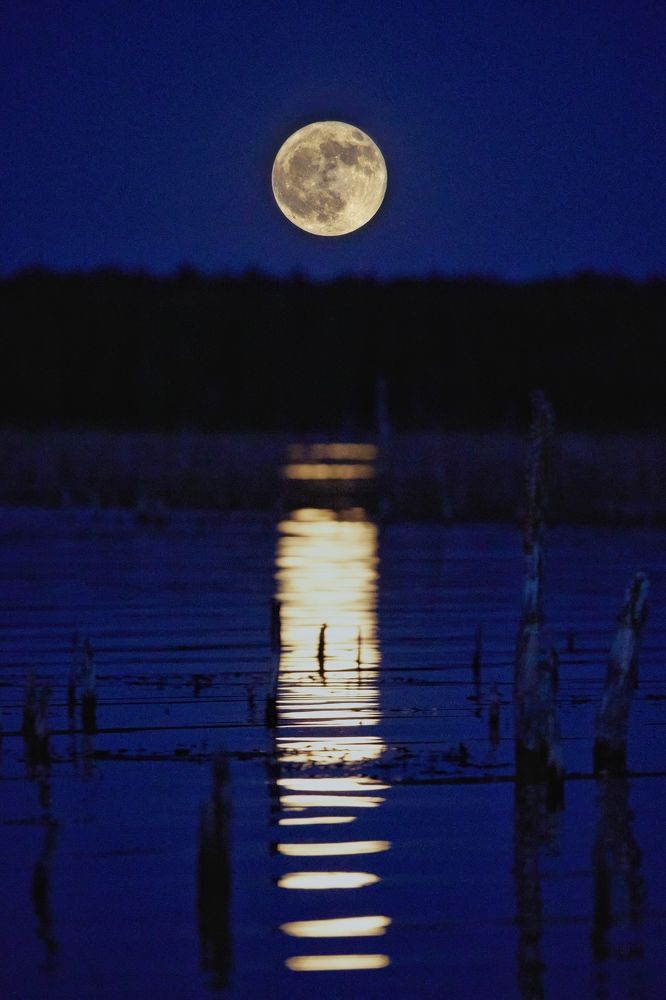 Photograph by 