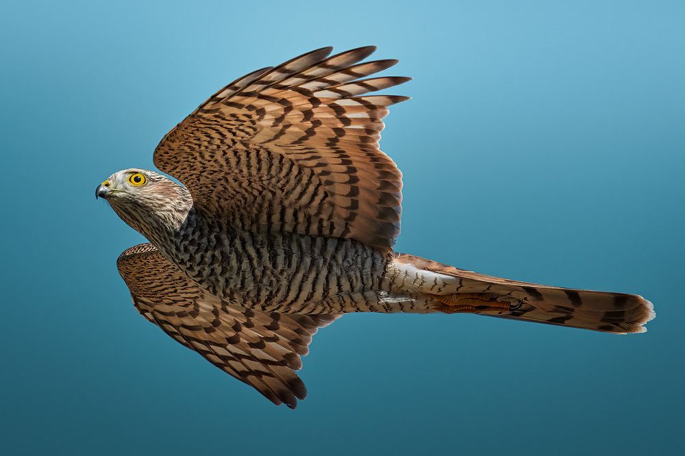 Photograph by Поляков Михаил