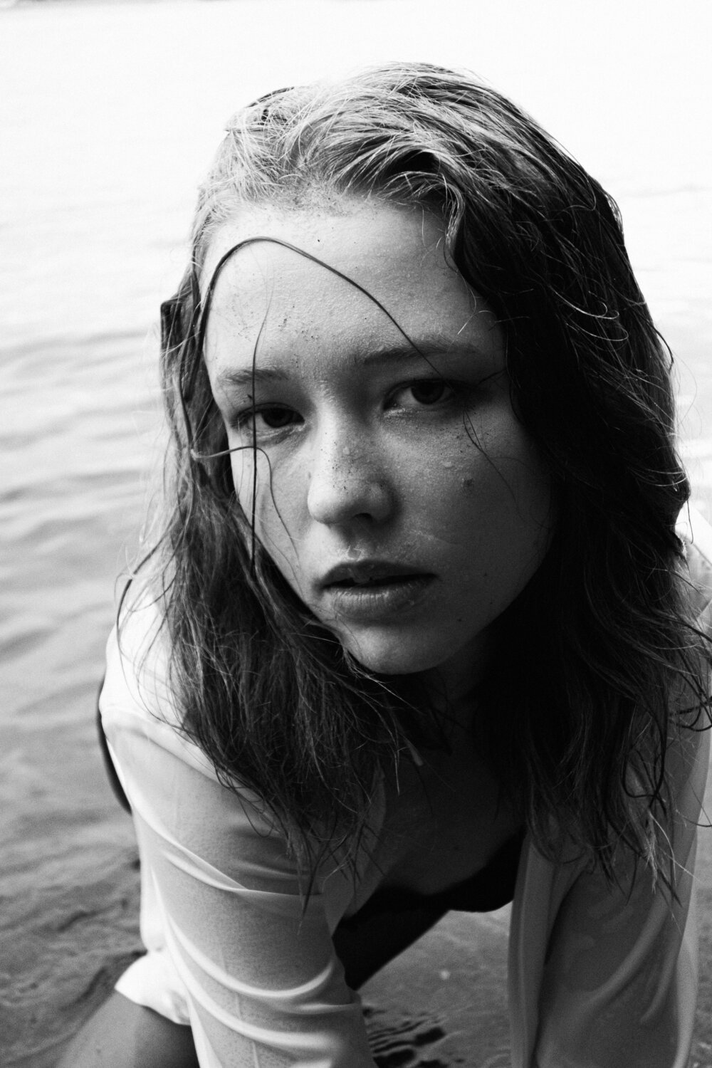 Photo #8230355