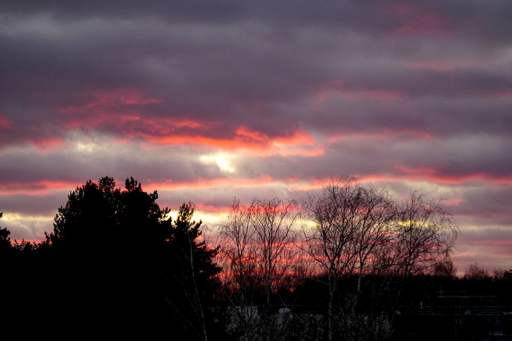 Photograph by Алфия Бугакова