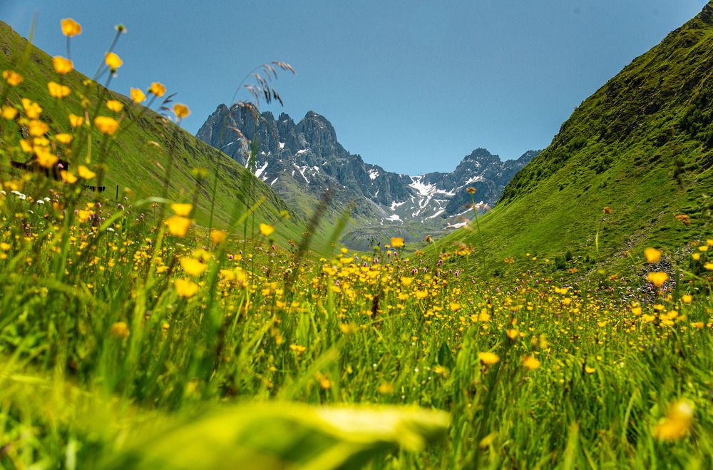 Photograph by Лебедева Наталия
