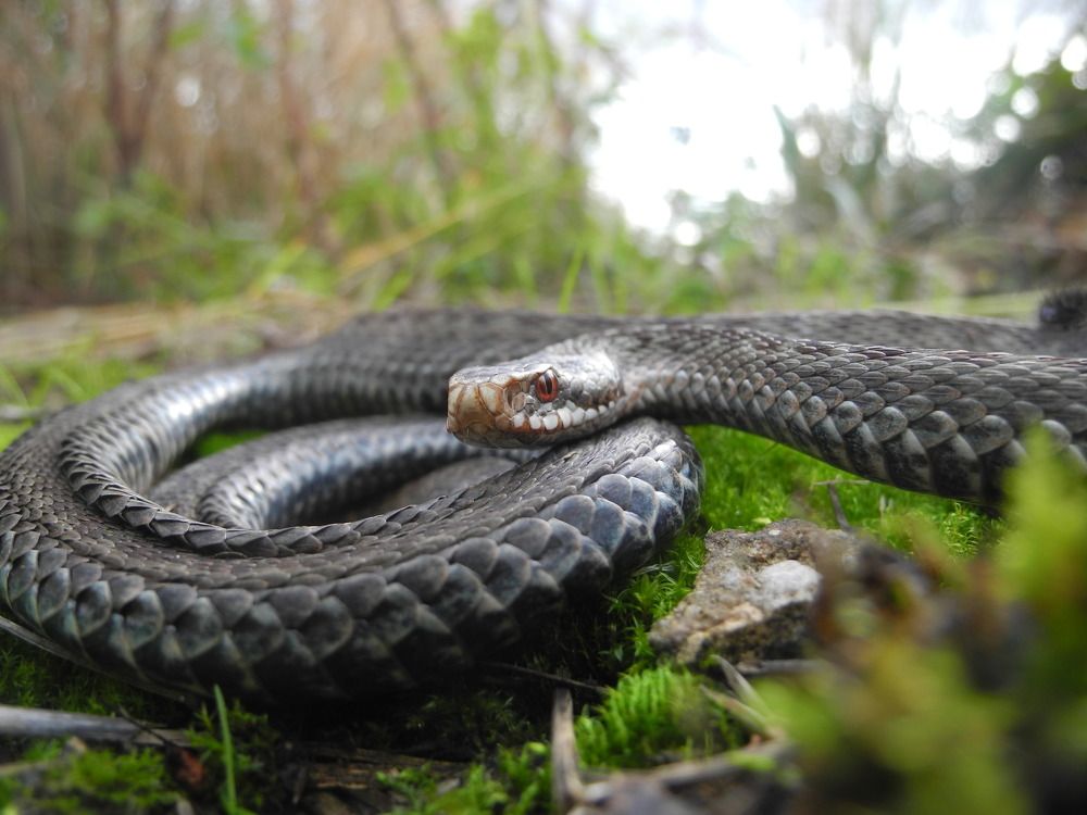 Photograph by Андрей Головин