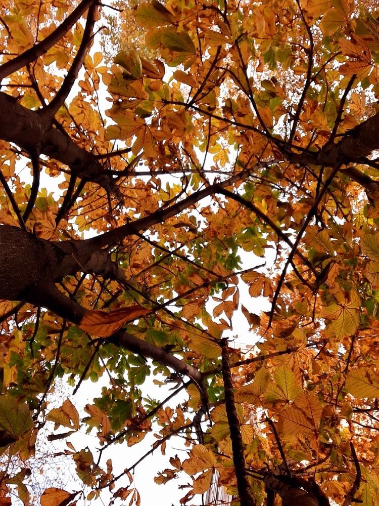 Photograph by Евгения Ульянова