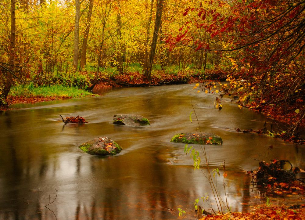 Фотография автора Aлексей Игнатьев