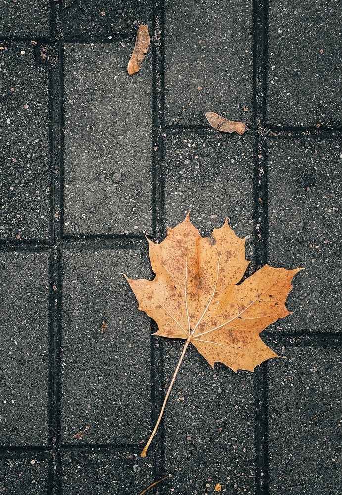 Photograph by Alexey Nuzha