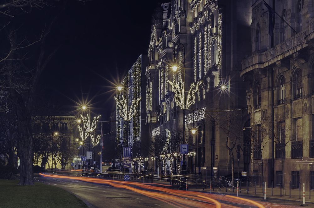 Photograph by Gureva Elena