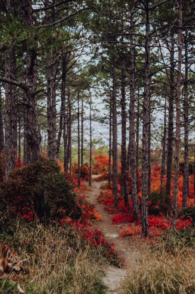Фотография автора Наталья Вербина
