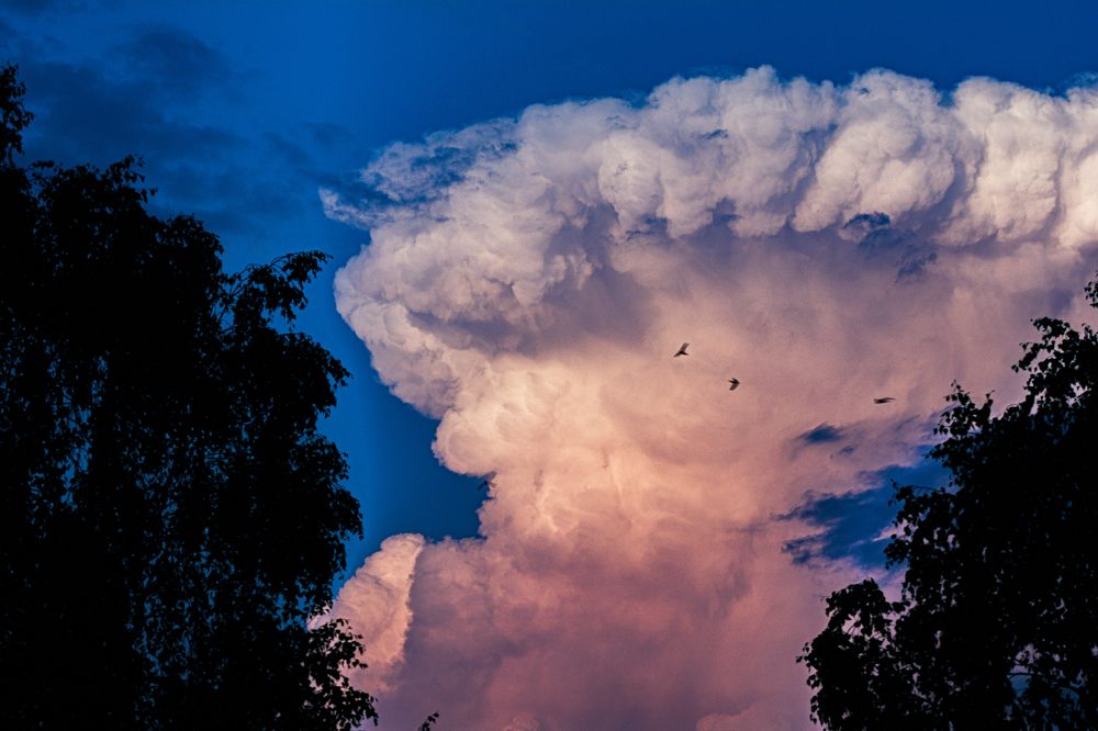 Photograph by Артём Александрович