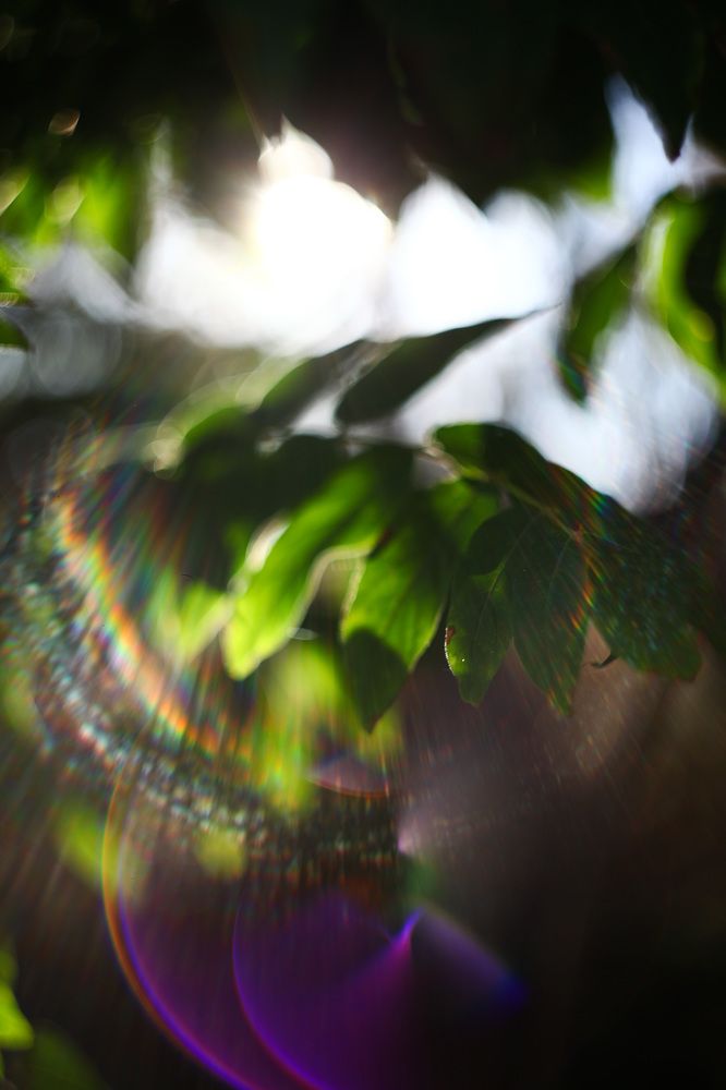 Фотография автора Наталья Вербина