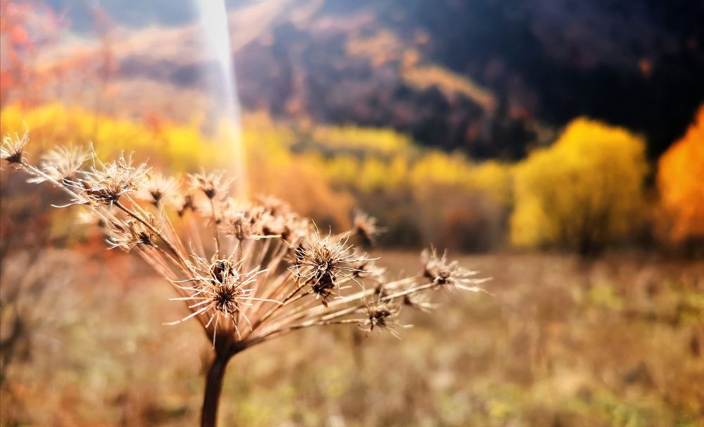 Photograph by Владимир Кривенко