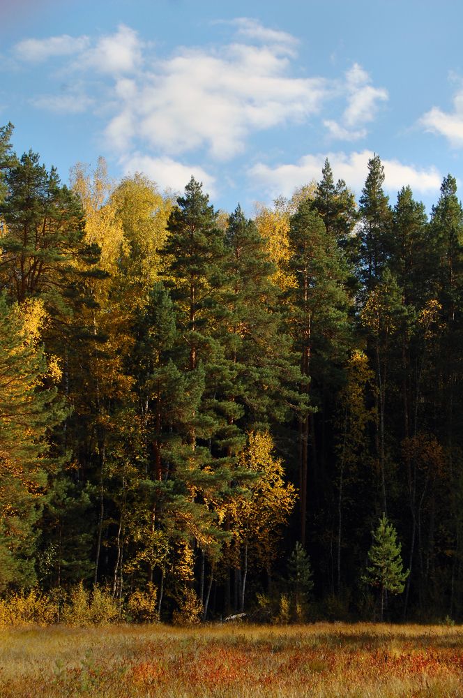 Photograph by Майя Синичкина