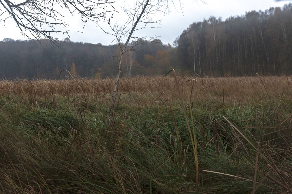 Photograph by Павел Боков