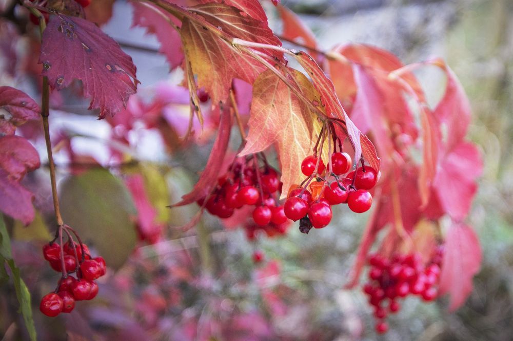 Photograph by Екатерина Рябинина