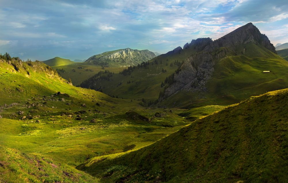 Photograph by Elena Wymann