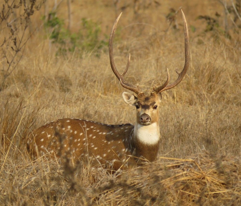 Photograph by ANISH BISWAS