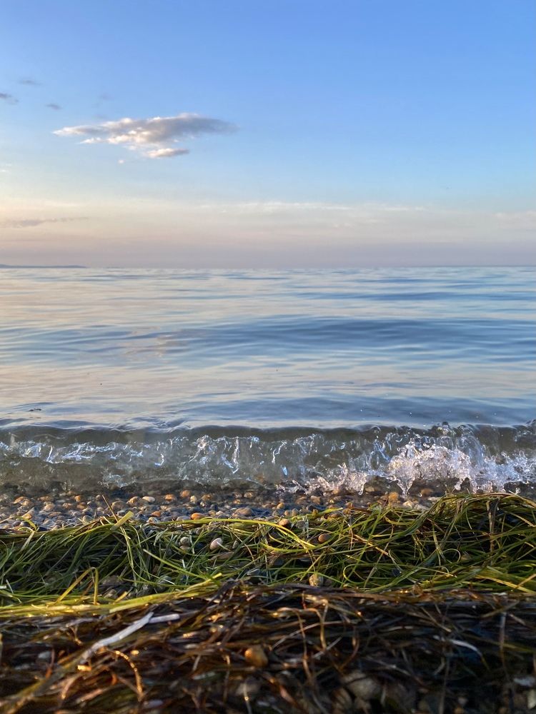 Photograph by Oksana lukyanova