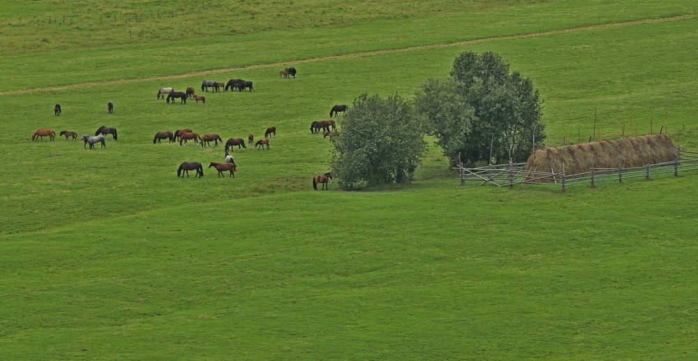 Фотография автора Юрий Кетель