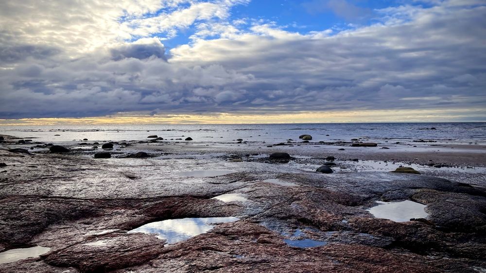 Фотография автора Юлия Шумейко