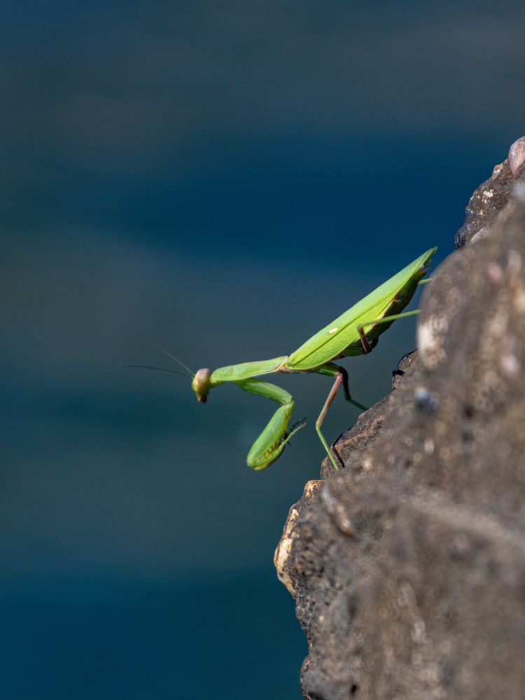 Photograph by Александр Вдовенко