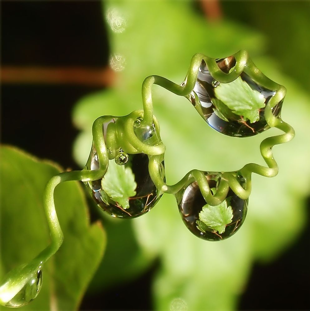 Photograph by Любовь Саханова