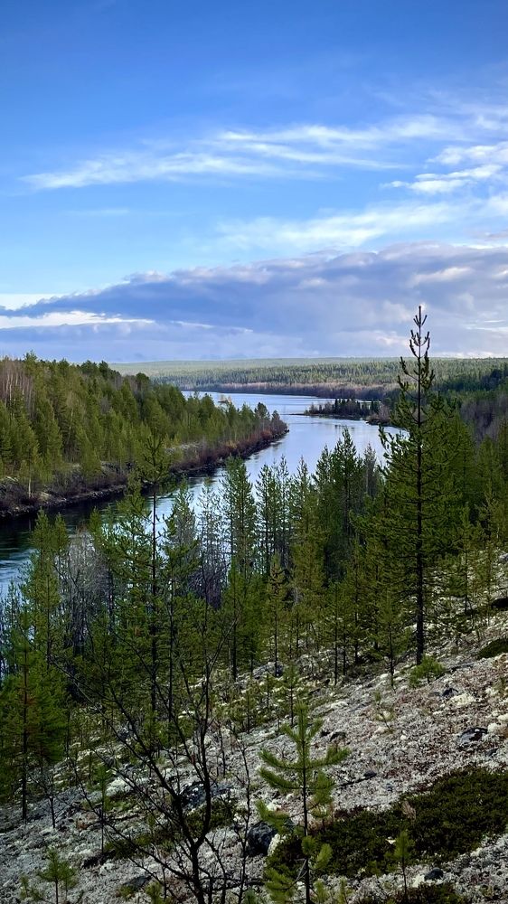 Фотография автора Юлия Шумейко