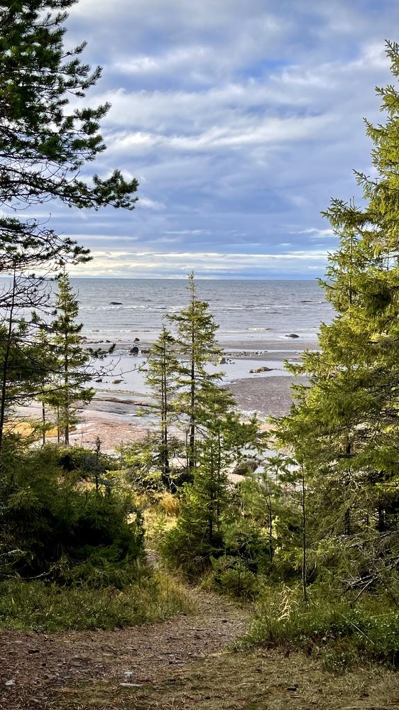 Фотография автора Юлия Шумейко