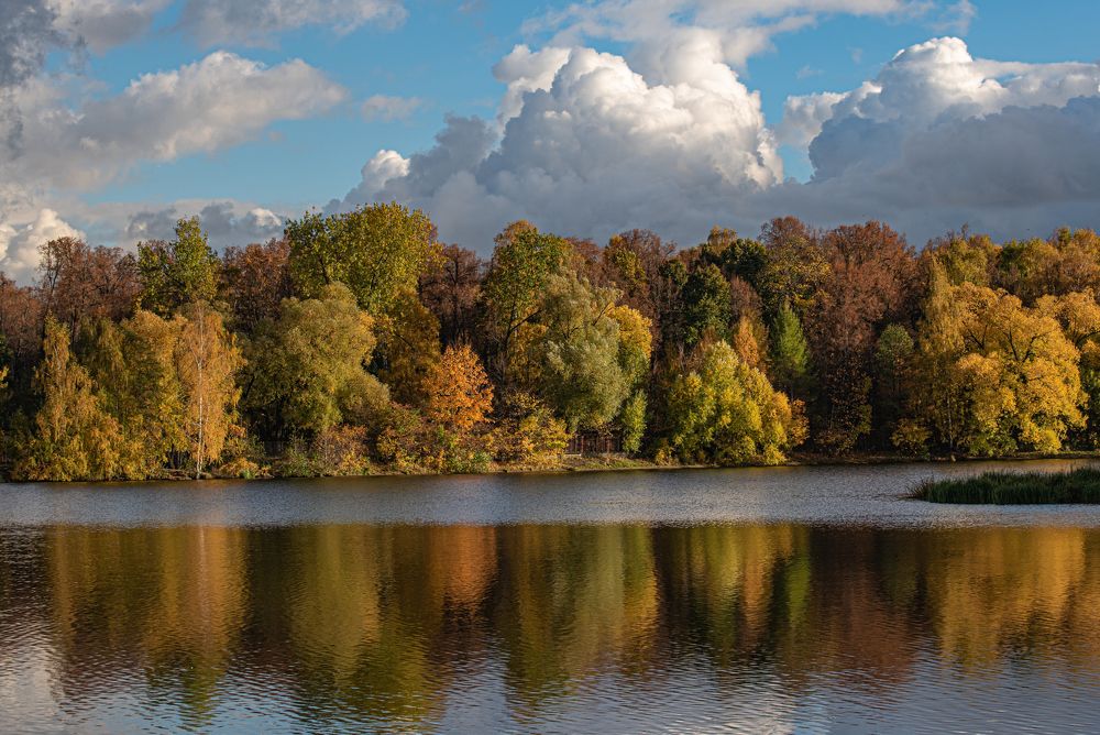 Солнечный аккорд золотой осени...