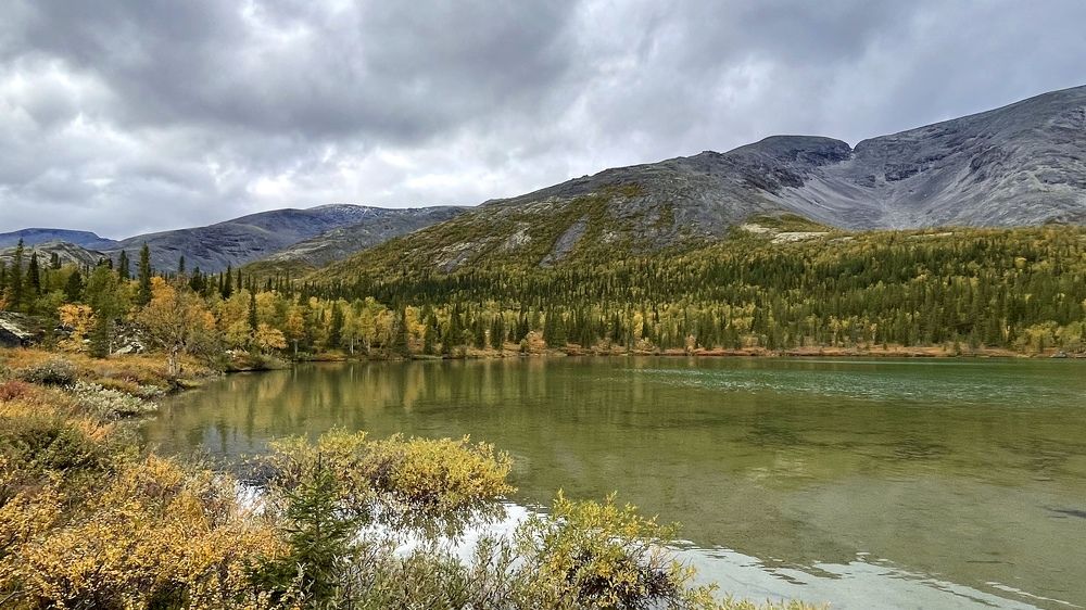 Фотография автора Юлия Шумейко