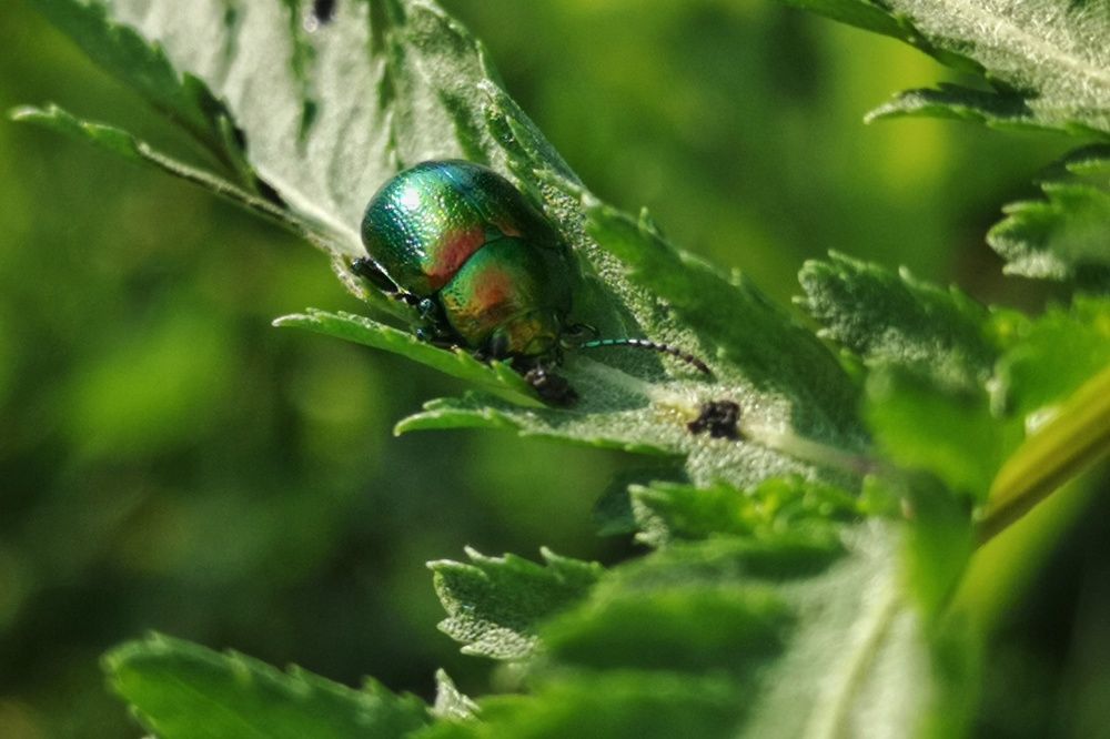 Photograph by Елена Николаева