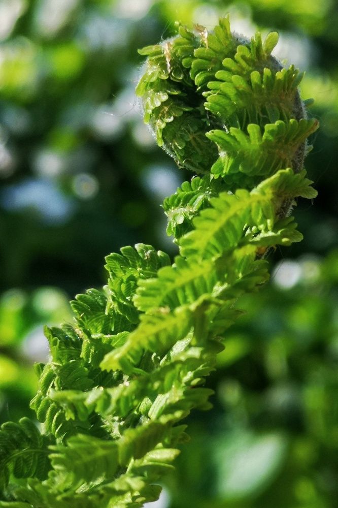 Photograph by Елена Николаева