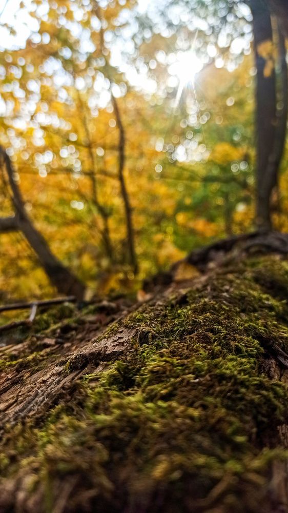 Фотография автора Юлия Кудря