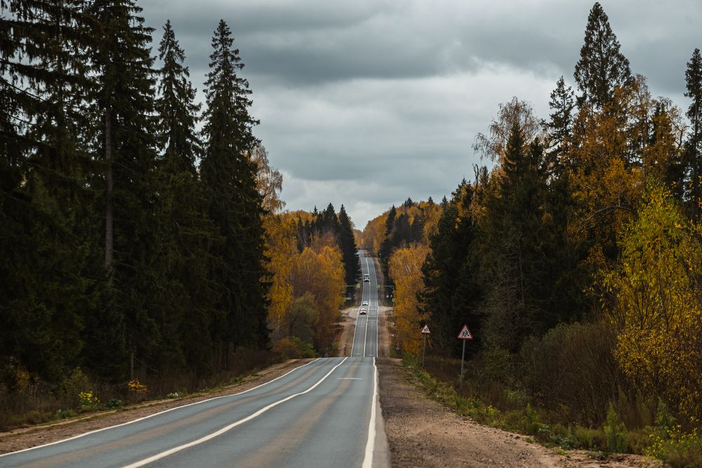Photograph by Ilya Sergeevich