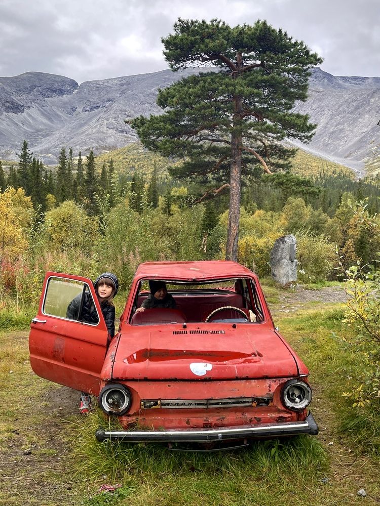 Фотография автора Юлия Шумейко