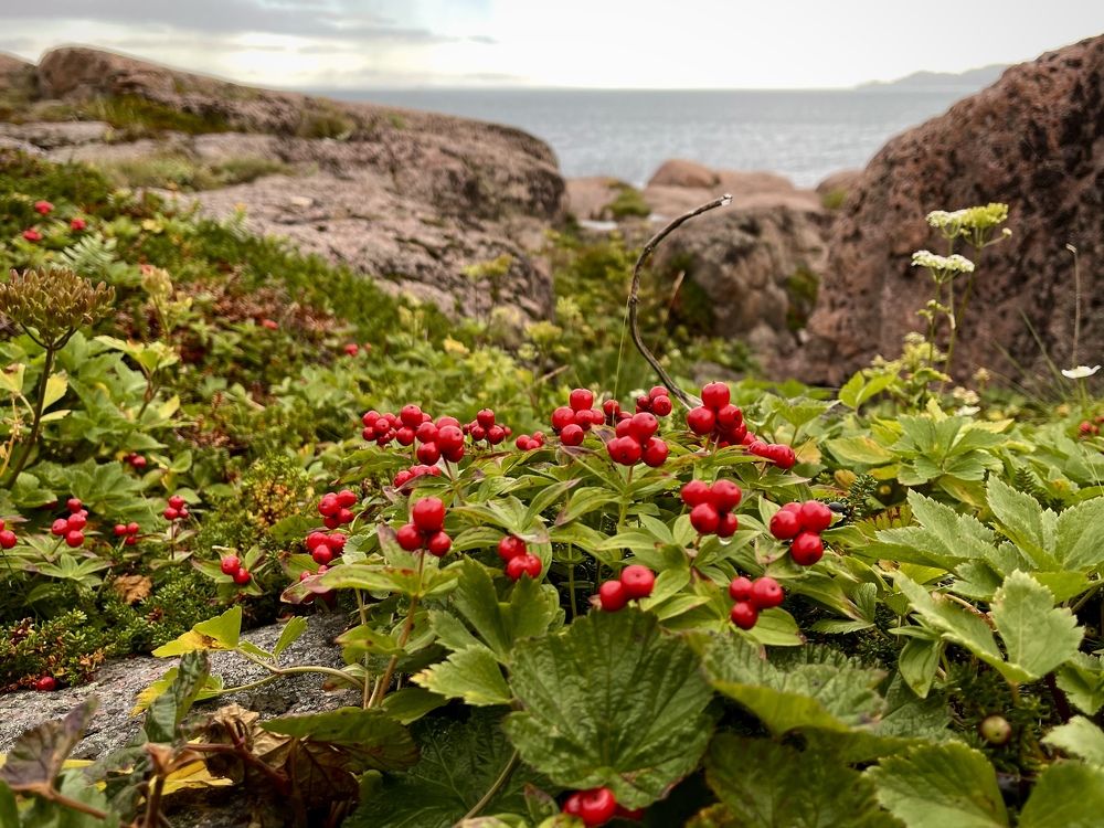 Фотография автора Юлия Шумейко