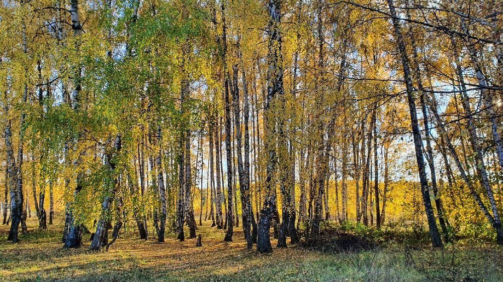 Photograph by Дарья Муллина