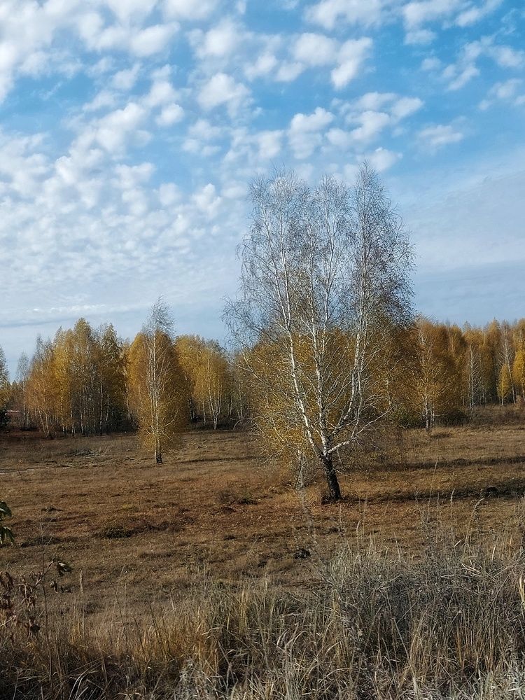 Photograph by Светлана Шиляева