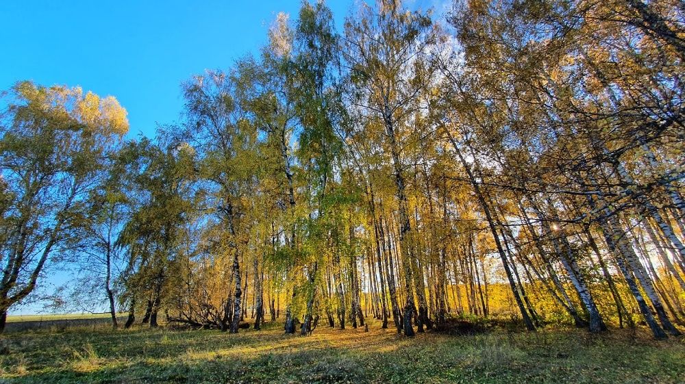 Photograph by Дарья Муллина