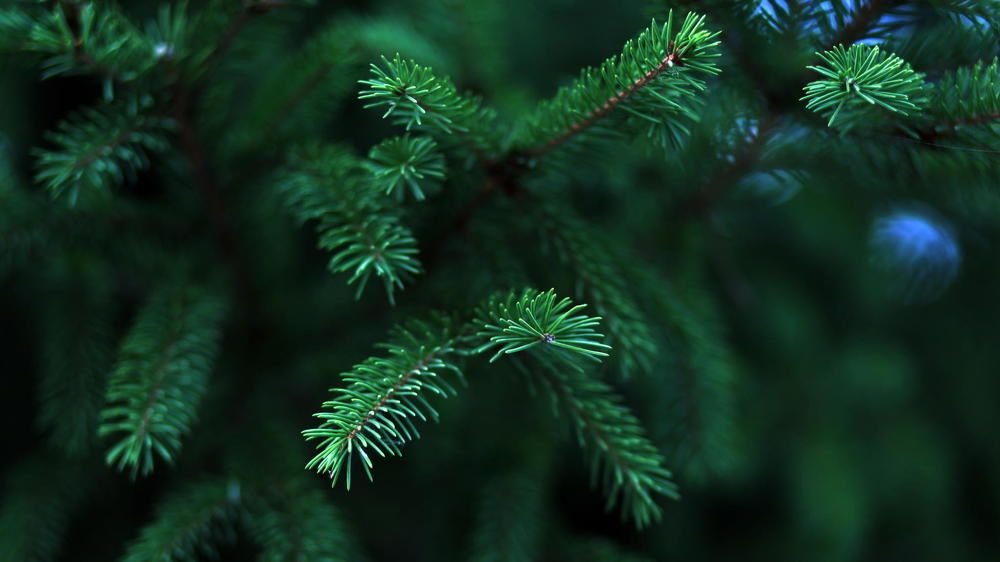 Photograph by Мурат Кужахметов