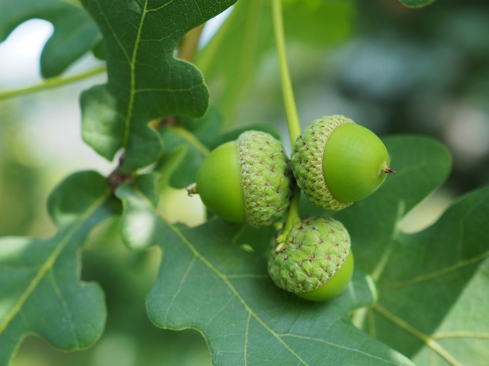 Photograph by МАрина Соловьева