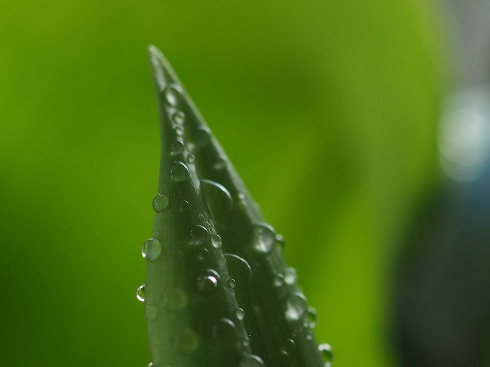 Photograph by МАрина Соловьева